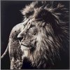 Tableau en verre lion