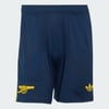 Collegiate Navy