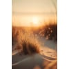 Tableau Alu Dibond