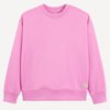 Rose Pastel
