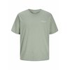 Pastel Green