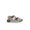 Gris Clair Metallise