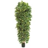 Vert