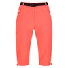 Pêche Fluo