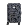 Noir Anthracite Axs Mo