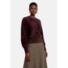 Chocolate Plum