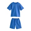 Bleu Cobalt