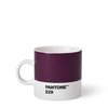 Aubergine 229c