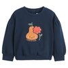 Baby blauwe sweater dames