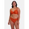 Mandarin orange