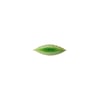 Vert Tomate