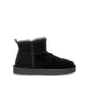 Noir Velours
