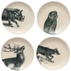 Fauna - Pattern