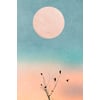 Tableau Alu Dibond