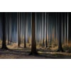 Tableau Alu Dibond