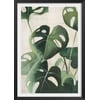 Affiche + Cadre En Bois - Noir