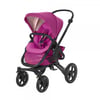 Frequency Pink