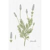 Tableau Alu Dibond