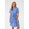 Bleu Blue Toile