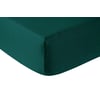 Vert Sapin