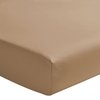 Beige Dune
