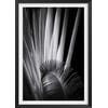 Affiche + Cadre En Bois - Noir