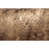 Tableau Alu Dibond