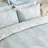 Gris Bleu-Vert Pastel
