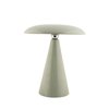 Vert De Gris