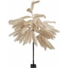 Beige Pampas Naturel
