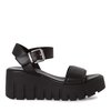 Noir Cuir