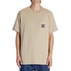 Beige Plaza Taupe