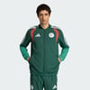 Team Dark Green