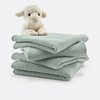 Vert De Gris