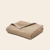 Beige Lin