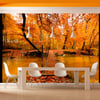Orange / Cuivré