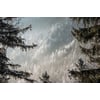 Tableau Alu Dibond