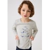 Gris Imp. Ourson