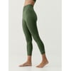 Vert Olive Profond