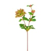 Vert Et Rose