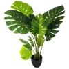 Vert