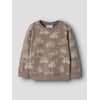Marron - Fossil1