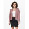 Withered Rose