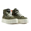 Olive Night