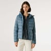 Bleu Foret