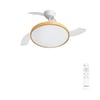 Blanc & Bois Clair/Transparent