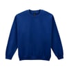 Bleu Roi Sombre