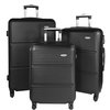 Valise Cactus