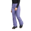Violet Twilight Purple