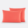 Corail